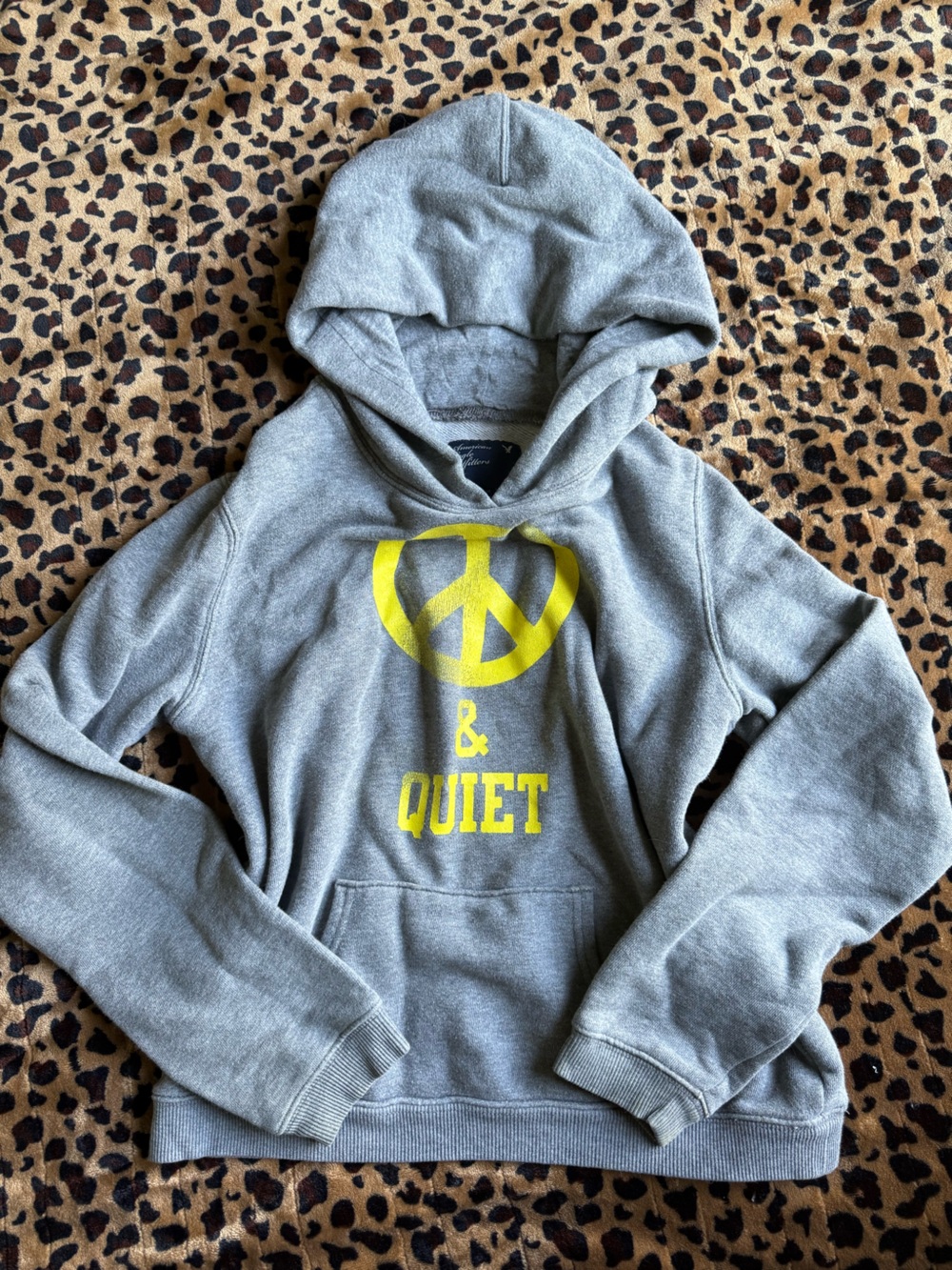 This is an American Eagle Outfitters gray hoodie with yellow "Peace & Quiet"